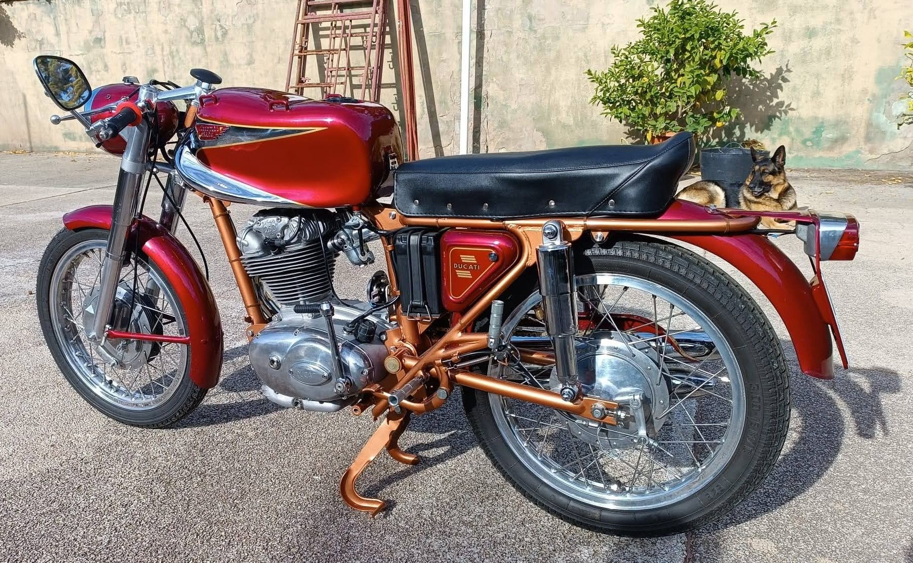 motodisseny